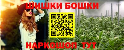 шишки Аргун