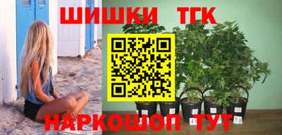 шишки Аргун