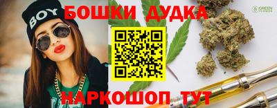 шишки Аргун