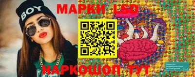 шишки Аргун