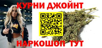 шишки Аргун