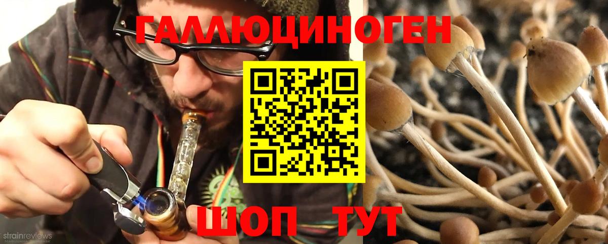 Галлюциногенные грибы GOLDEN TEACHER  Вход с VPN  Галлюциногенные грибы мухоморы  Богородицк 
